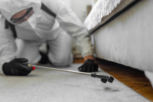 Professional Termite Control technician working in Paola, KS