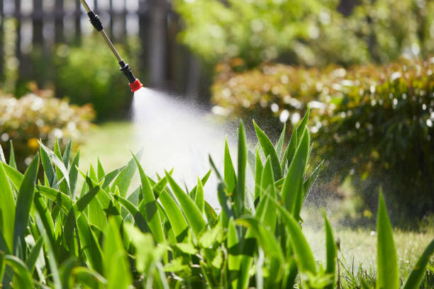 24/7 Emergency Termite Control experts in Paola, KS