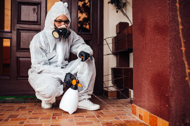 Reliable Termite Control contractor in Paola, KS by Nex Pest Control