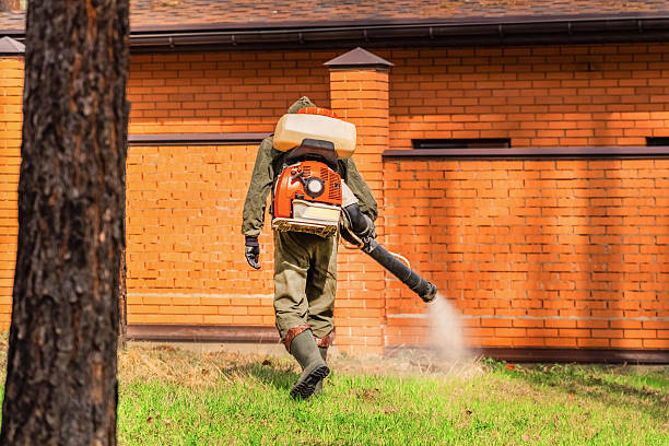 Trusted Termite Control service in Paola, KS - Nex Pest Control